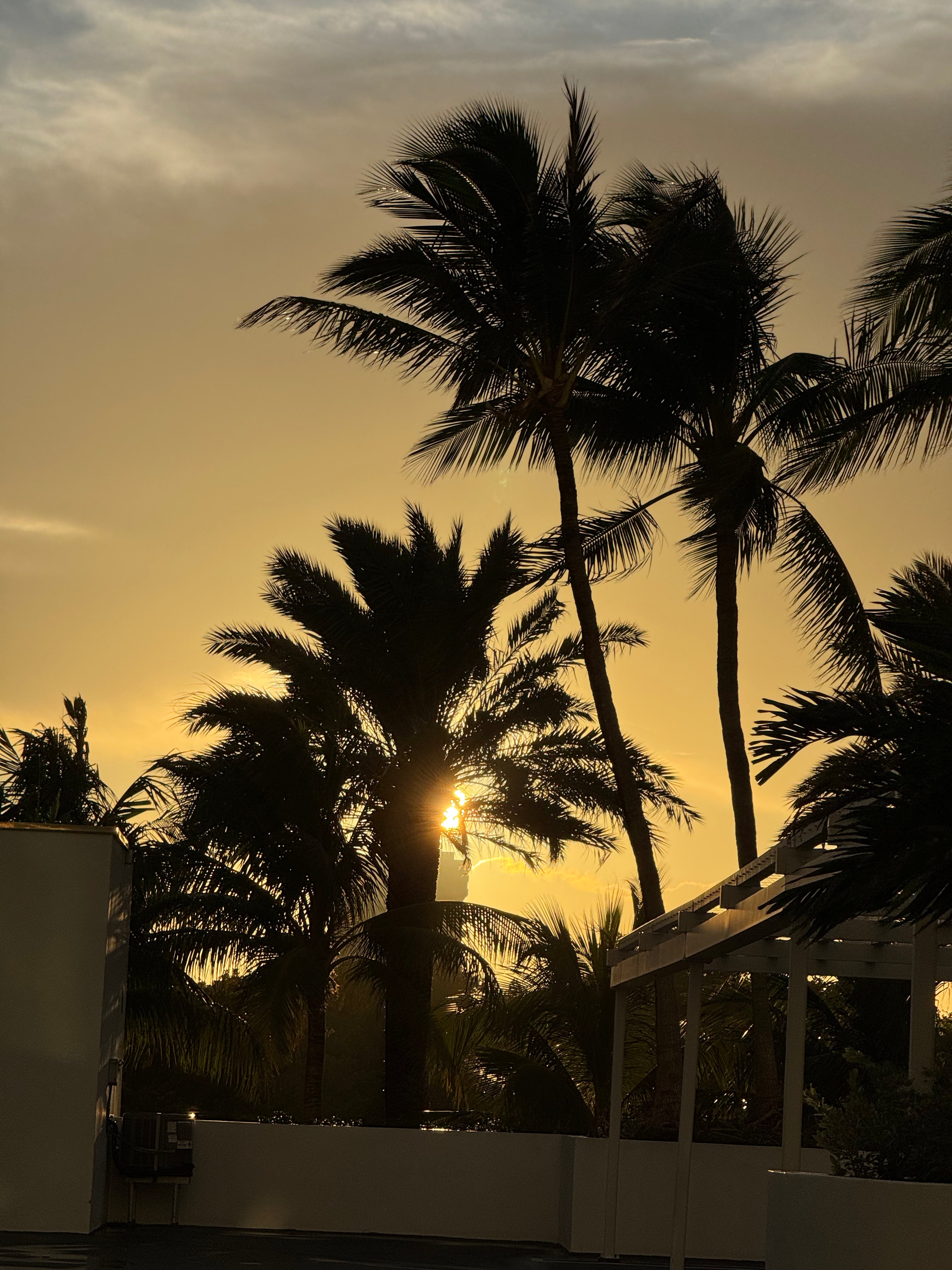 Fort Lauderdale Sunset Bundle