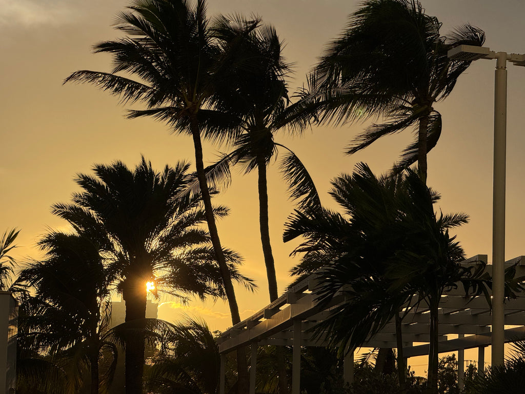 Fort Lauderdale Sunset Tank only