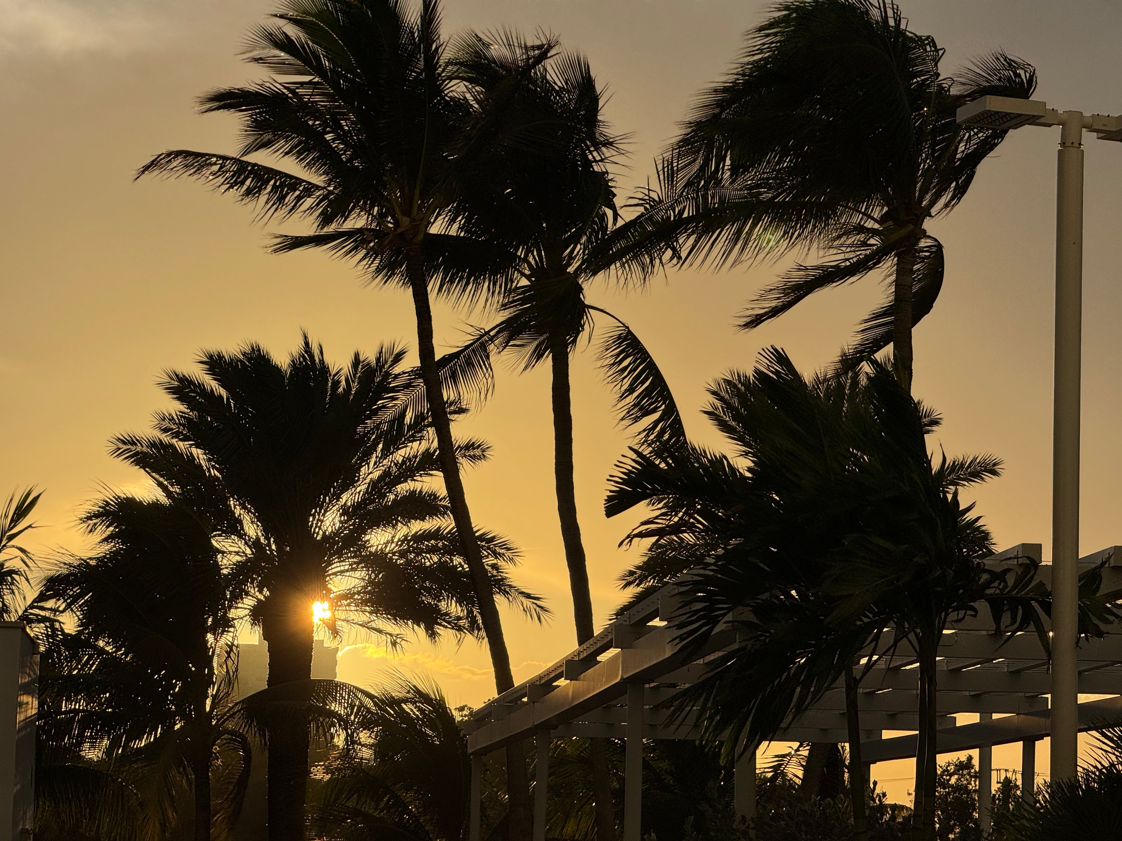 Fort Lauderdale Sunset Bundle