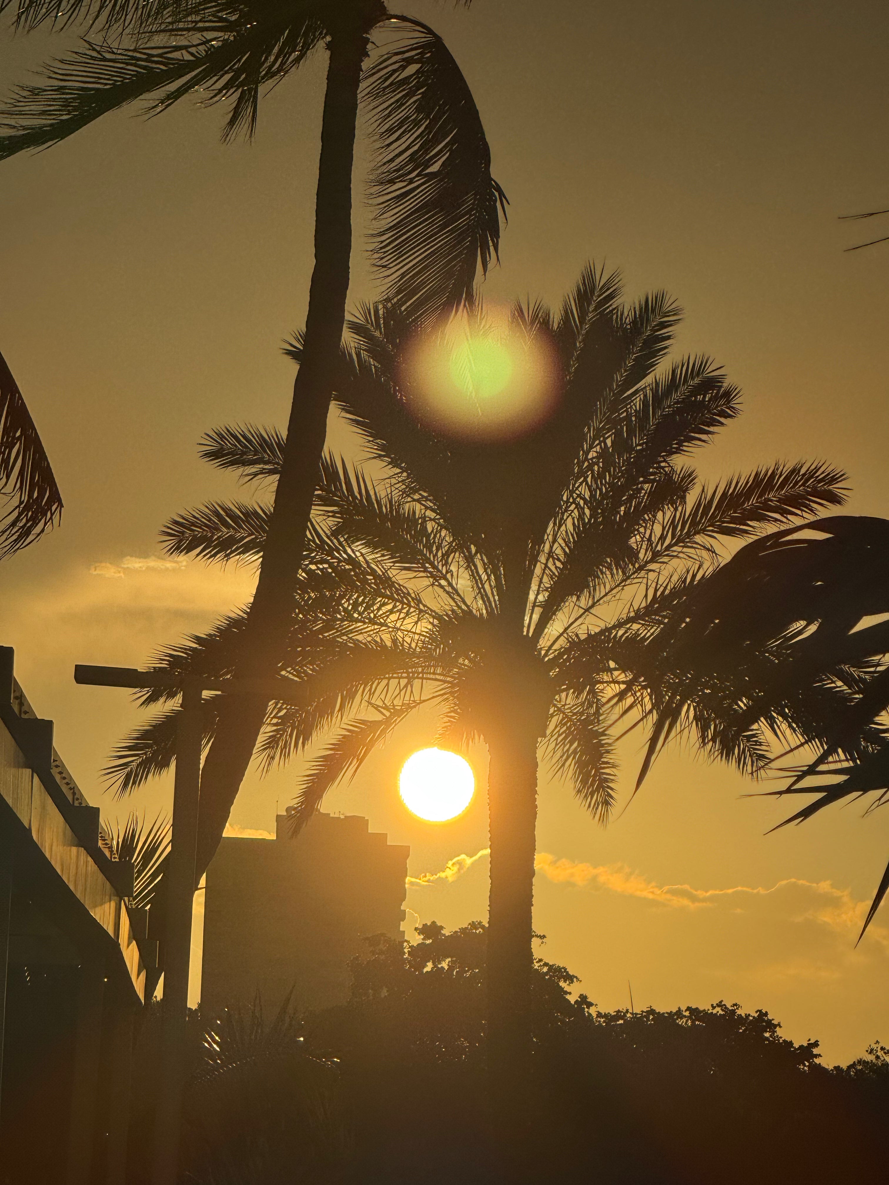 Fort Lauderdale Sunset Bundle