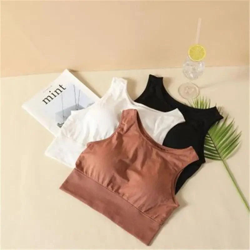 Sizzling Sports Bra For Women Solid Yoga Top Fitness Pad Bra Girl Active Wear Workout Running Sportswear Breathable Soft Bra